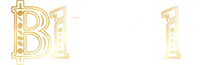B1bahis
